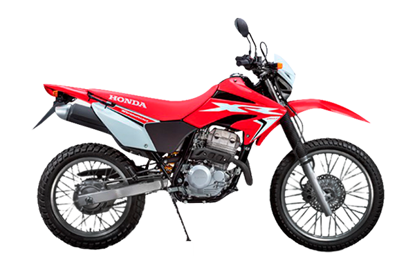 MOTEF - Productos destacados